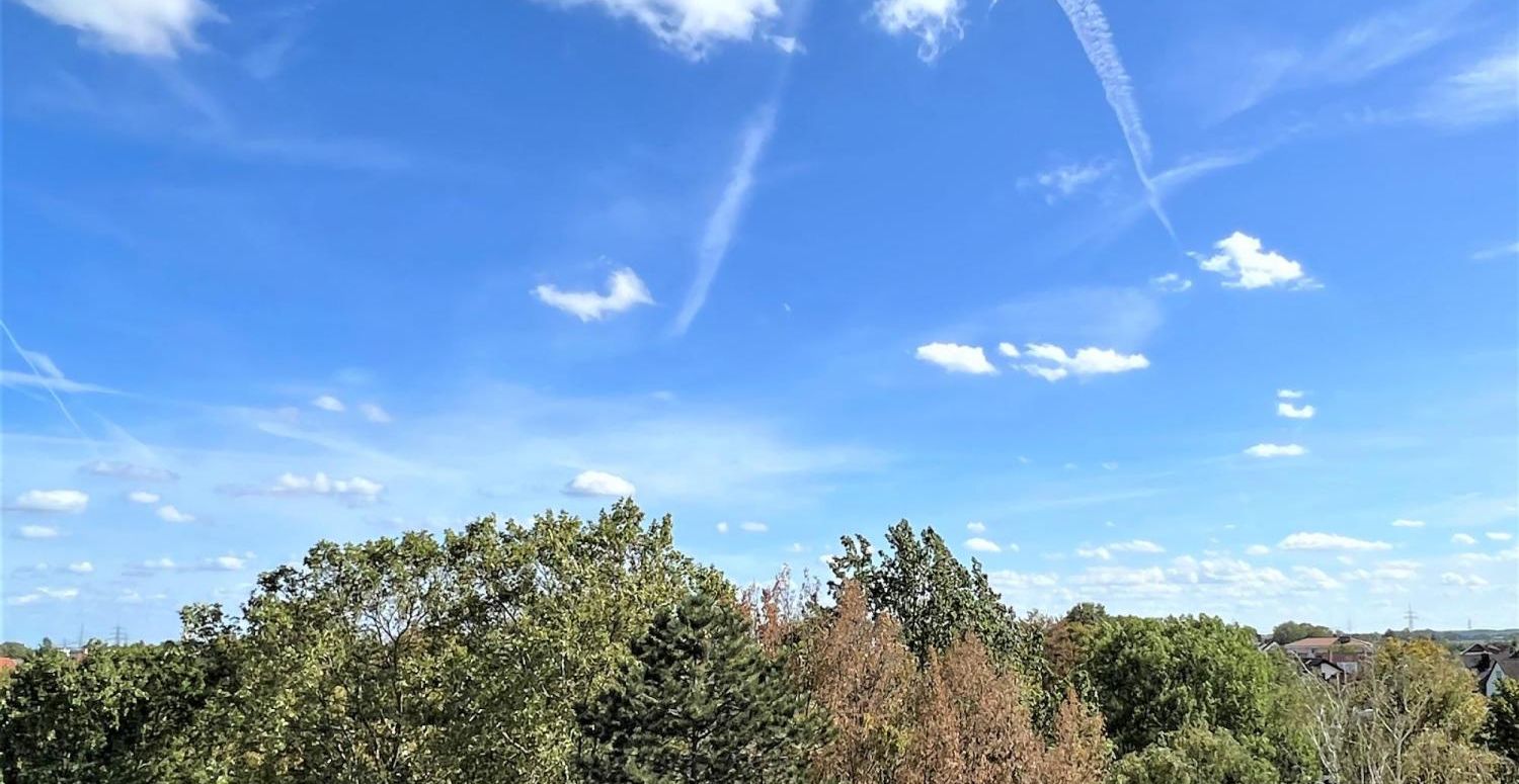 Dem Himmel ein Stück näher! Barrierefreies Penthouse mit großer Terrasse und fantastischem Fernblick