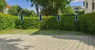 von_poll_real_estate_property_25185010_image_7