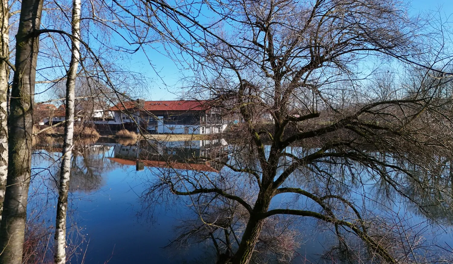 Ausblick auf den Weiher