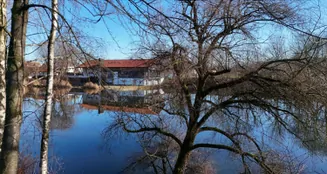 von_poll_real_estate_property_25185021_image_0