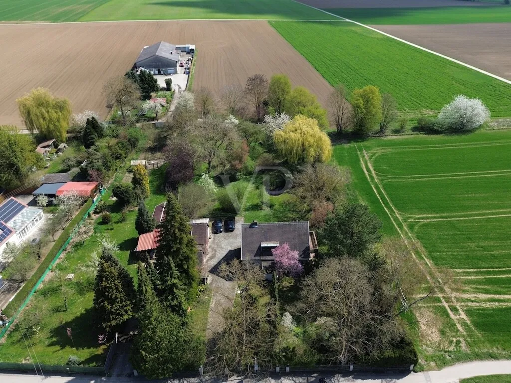 Ansicht