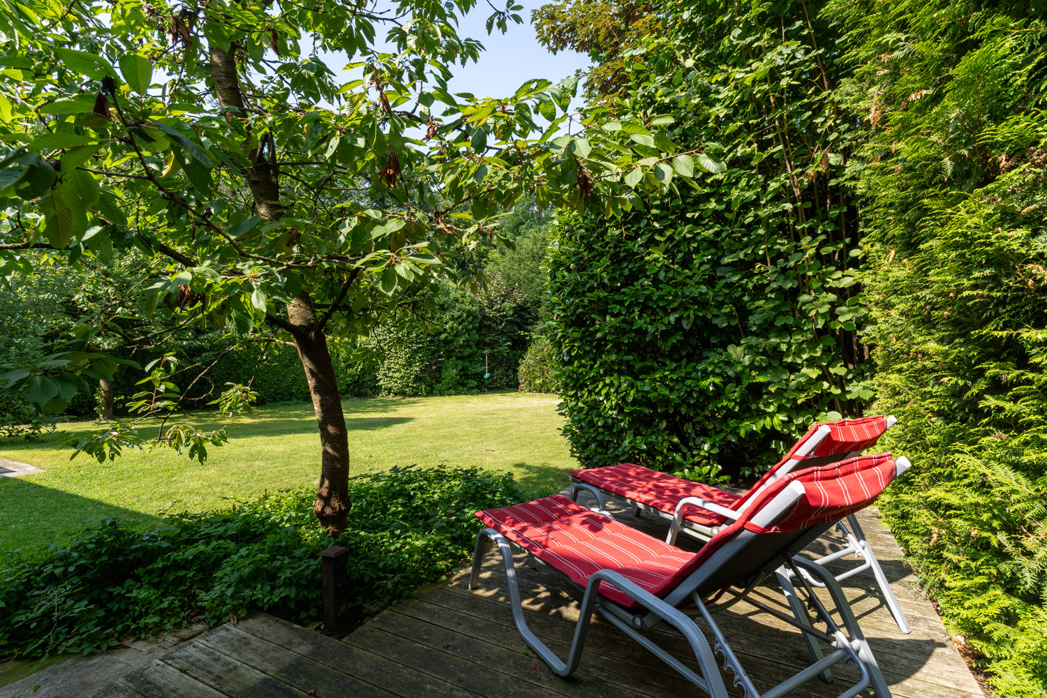 Garten mit verschiedenen Terrassenbereichen