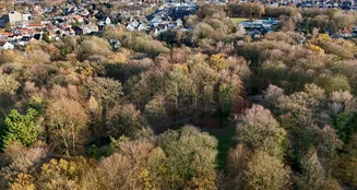 von_poll_real_estate_property_25220021A_image_9