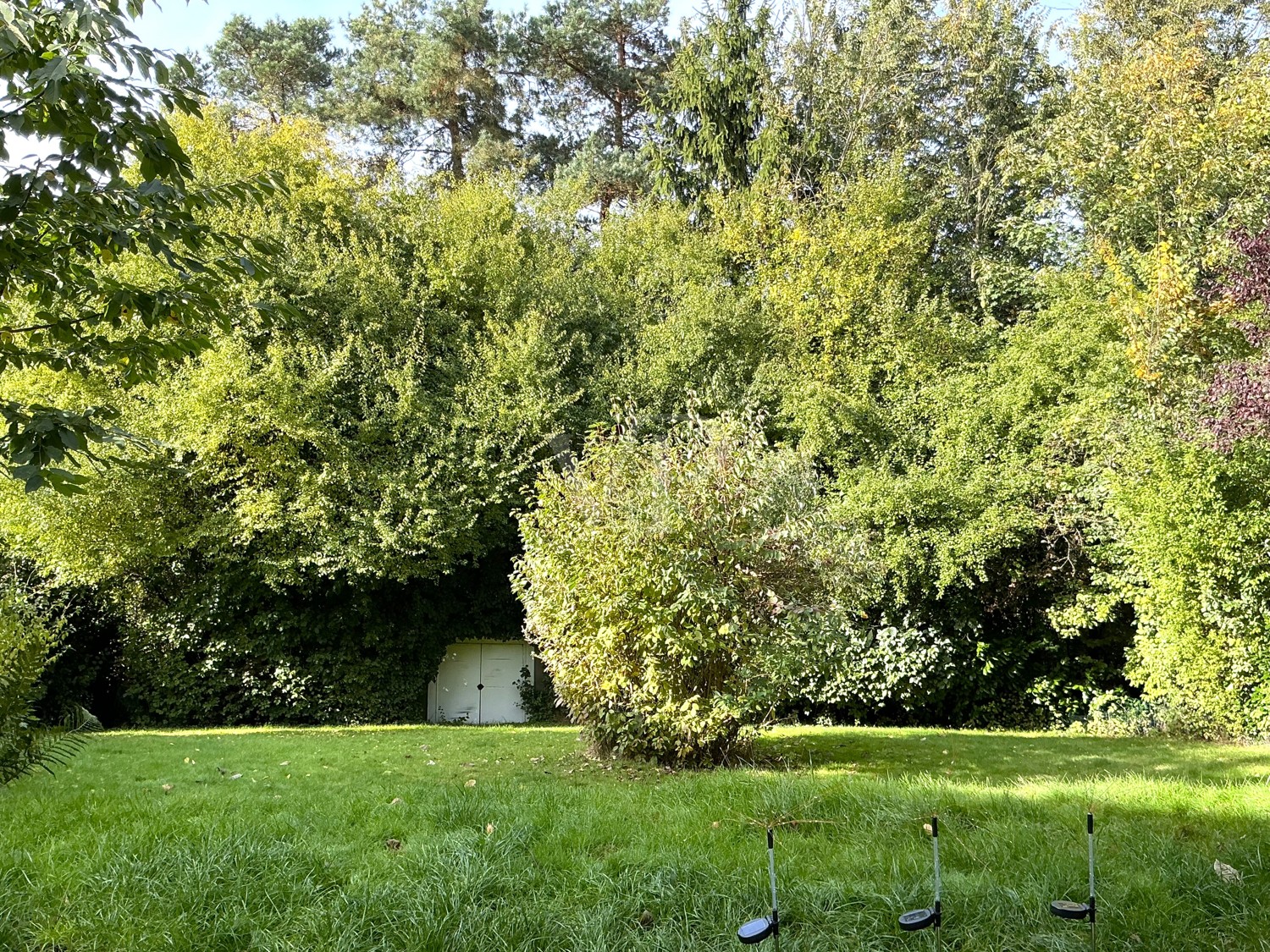 Blick in den Garten