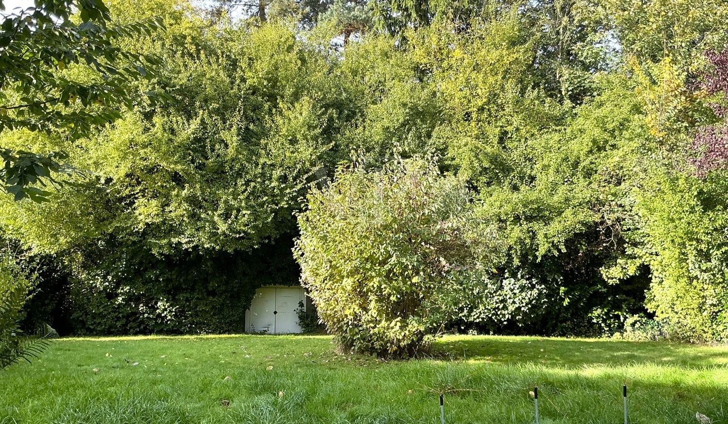 Blick in den Garten
