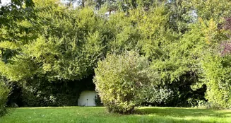 von_poll_real_estate_property_25226012_image_15