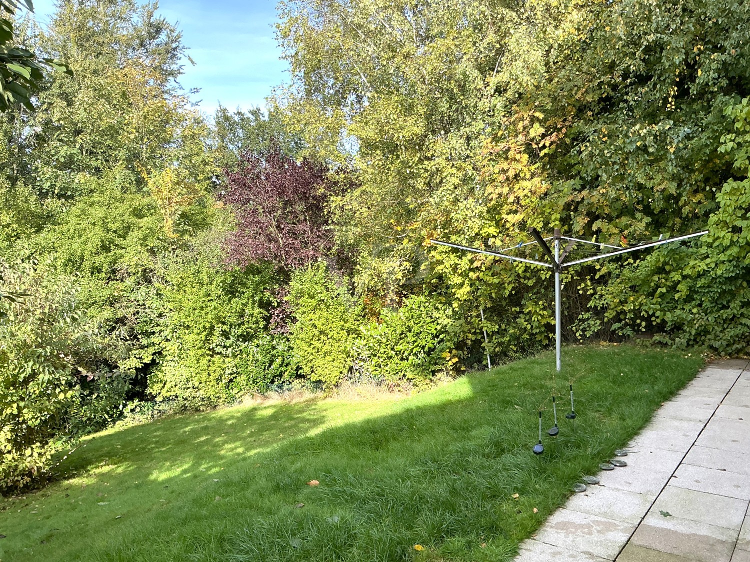 Blick in den Garten