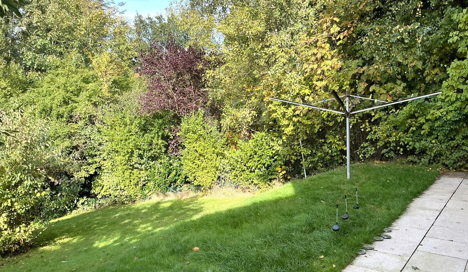 Blick in den Garten