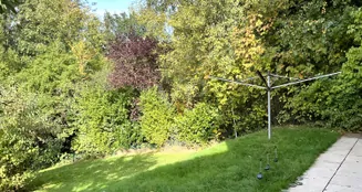 von_poll_real_estate_property_25226012_image_14