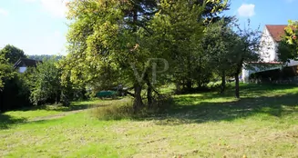 von_poll_real_estate_property_23226019_image_1