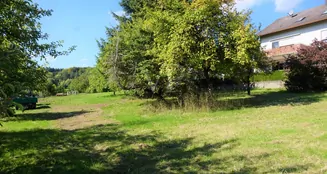 von_poll_real_estate_property_23226019_image_2