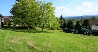 von_poll_real_estate_property_23226019_image_3