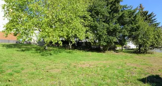 von_poll_real_estate_property_23226019_image_4