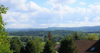 von_poll_real_estate_property_23226019_image_5