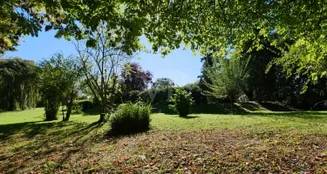 von_poll_real_estate_property_25147009_image_3