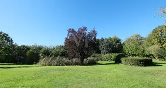 von_poll_real_estate_property_25147009_image_1