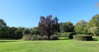 von_poll_real_estate_property_25147009_image_0