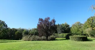 von_poll_real_estate_property_25147009_image_0