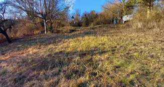 von_poll_real_estate_property_25050004_image_17