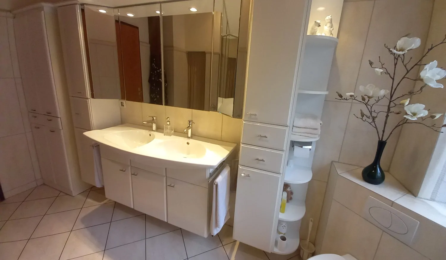 Tageslichtbad mit Wanne, Dusche, WC (2)