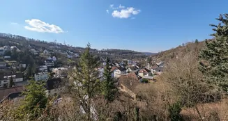 von_poll_real_estate_property_25050004_image_2