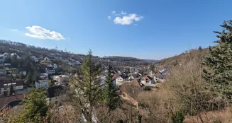 von_poll_real_estate_property_25050004_image_2