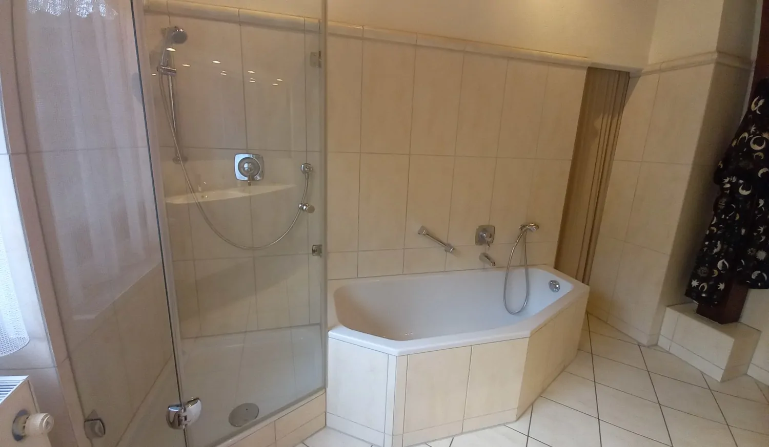 Tageslichtbad mit Wanne, Dusche, WC (1)