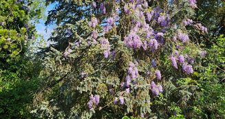 von_poll_real_estate_property_25050012_image_12