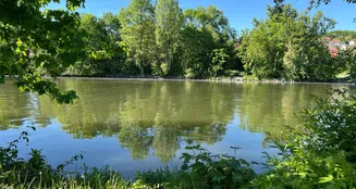 von_poll_real_estate_property_25050028_image_15