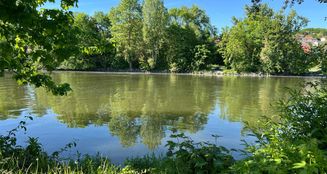 von_poll_real_estate_property_25050028_image_13