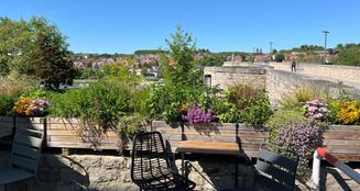 von_poll_real_estate_property_25050028_image_12