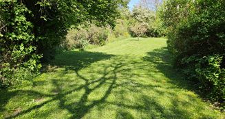 von_poll_real_estate_property_25050023_image_13