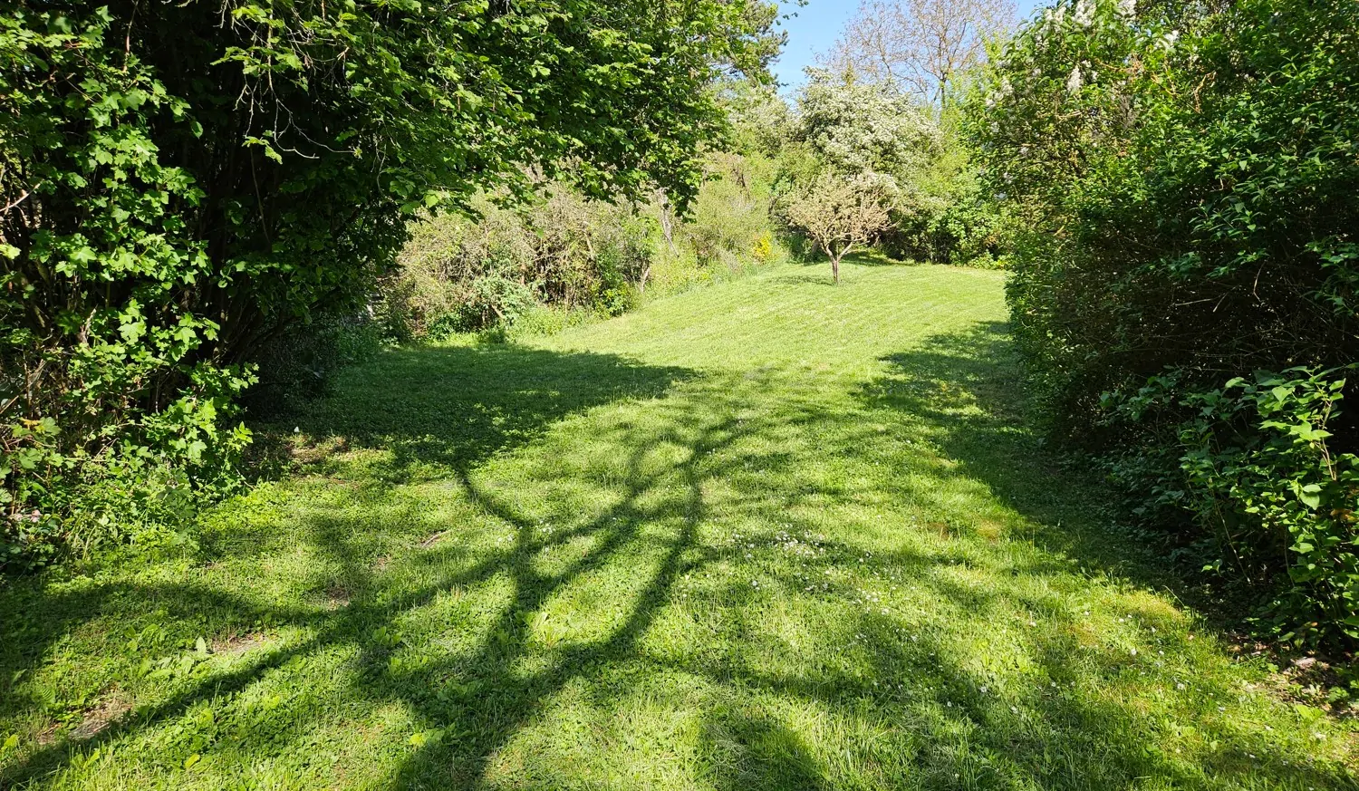 Teilansicht Grundstück
