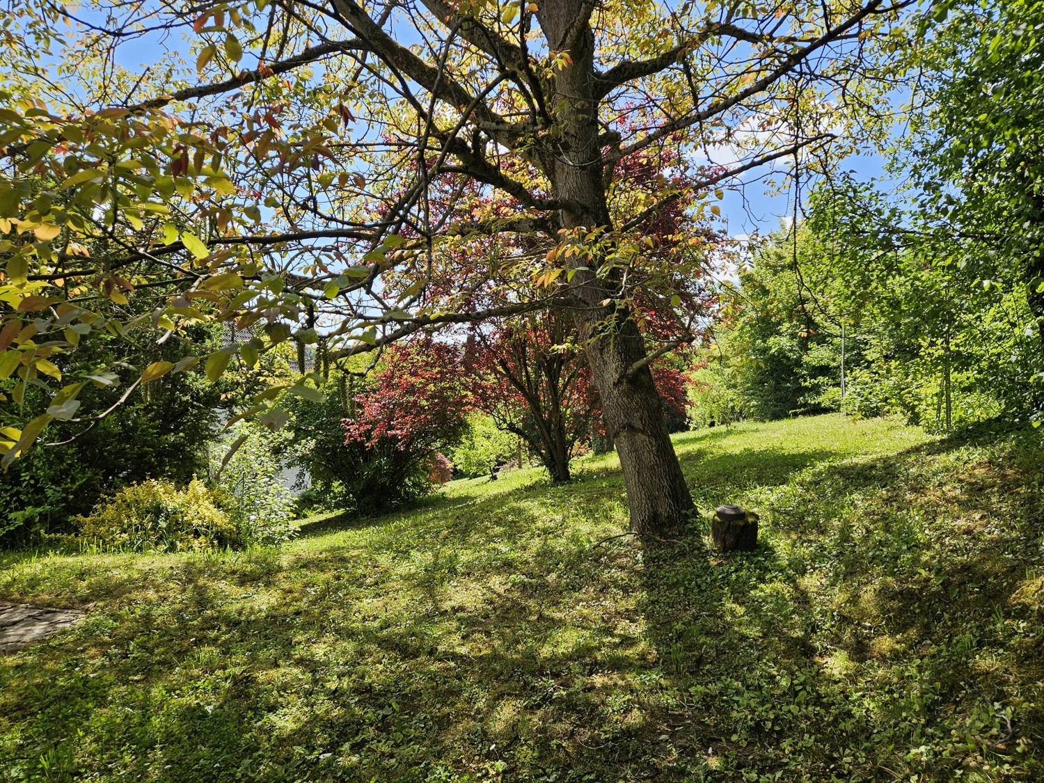 Idyllischer Garten