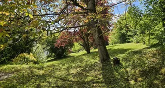 von_poll_real_estate_property_25050025_image_12