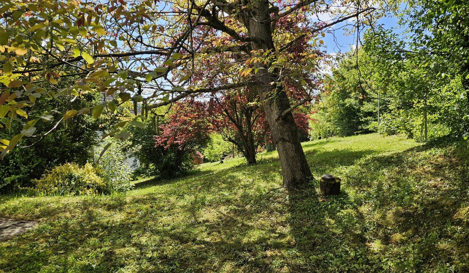 Idyllischer Garten