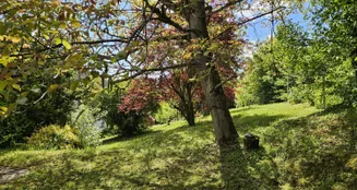 von_poll_real_estate_property_25050025_image_11