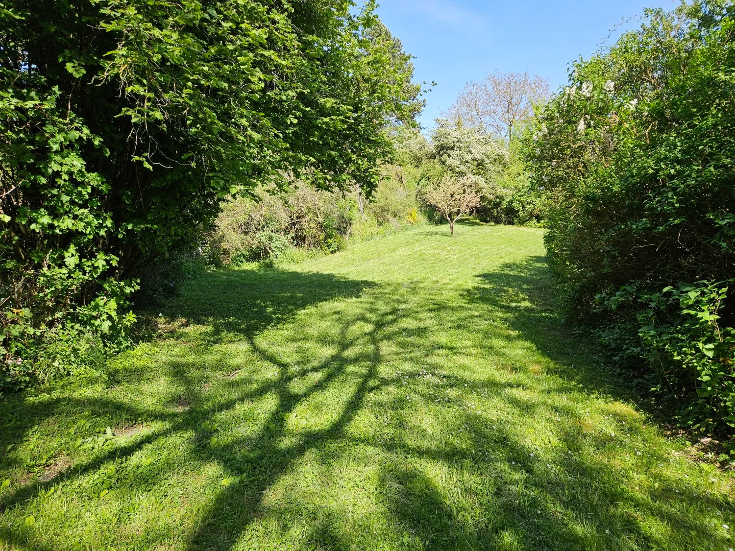 Teilansicht Grundstück