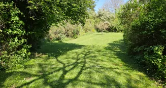 von_poll_real_estate_property_26050006_image_12