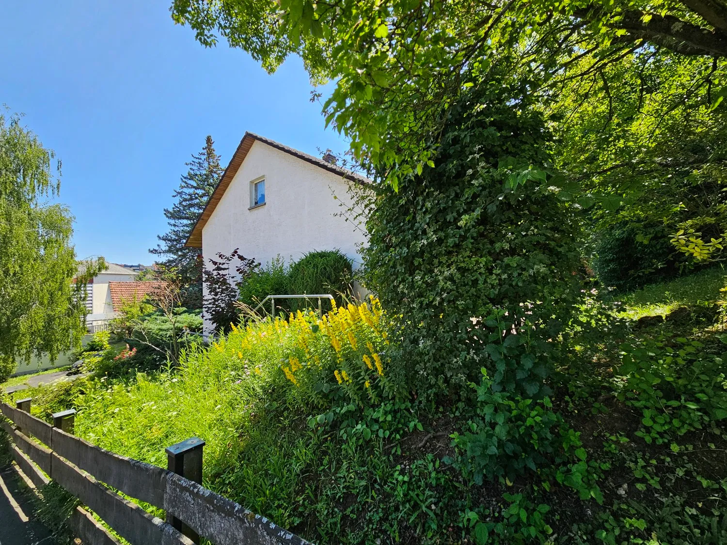 Blick auf's Haus