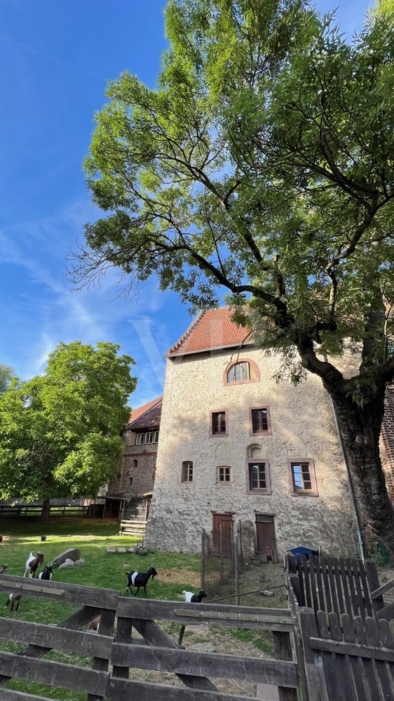 Einzigartiges Kutscherhaus im Schlosshof von Altenhausen