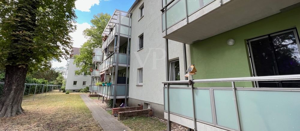 Blick ins Grüne 1