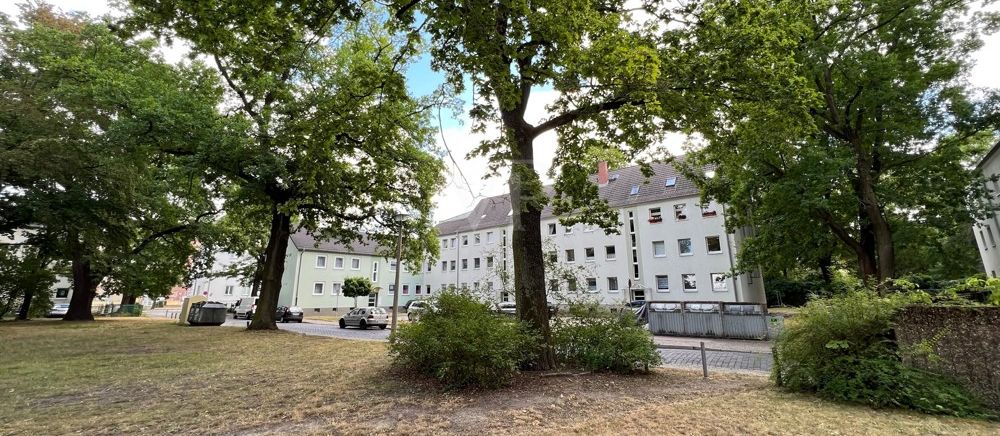 Blick ins Grüne