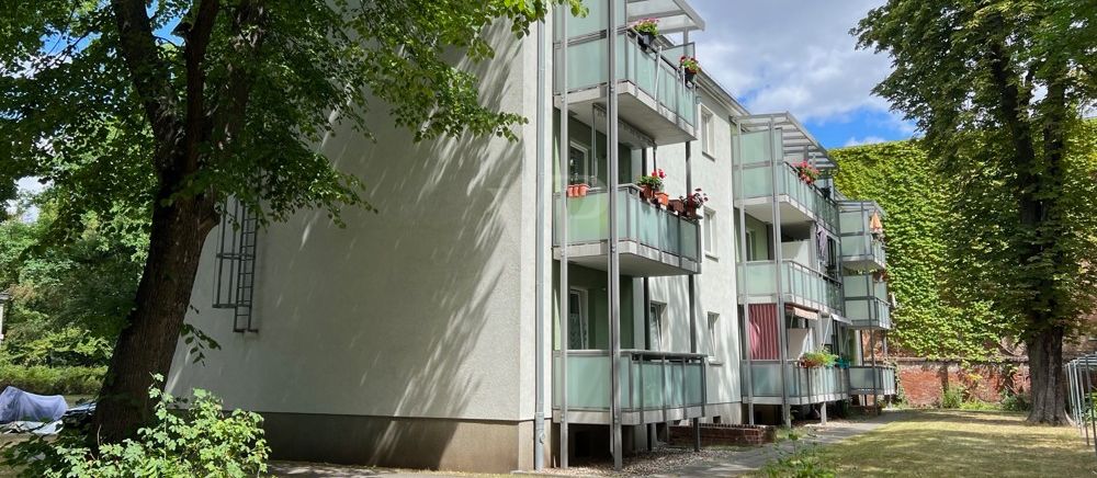 Blick ins Grüne 2