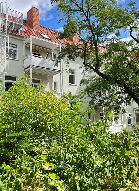 Blick in den Garten