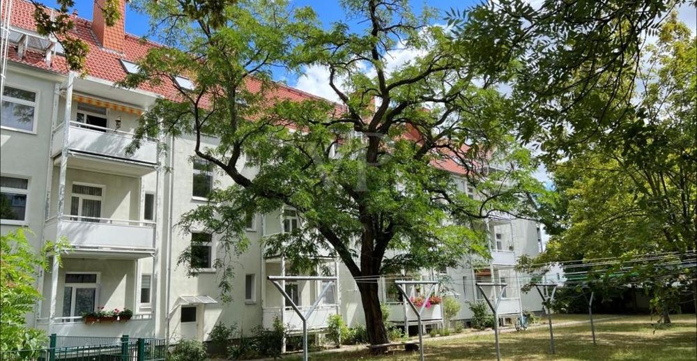 Blick in den Garten