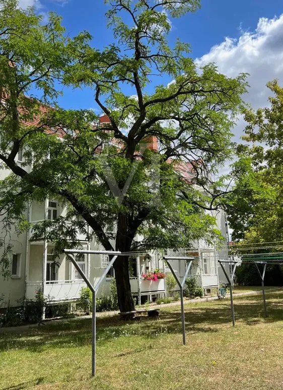 Blick in den Garten 4