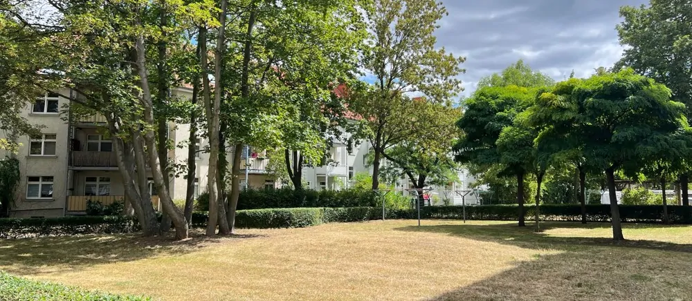 Blick in den Garten 3