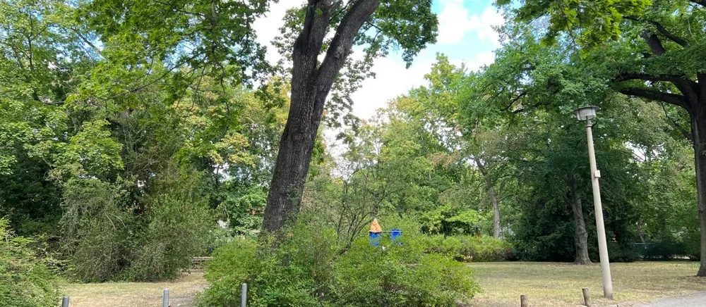 Kapitalanleger aufgepasst, vermietete Eigentumswohnung zu verkaufen!