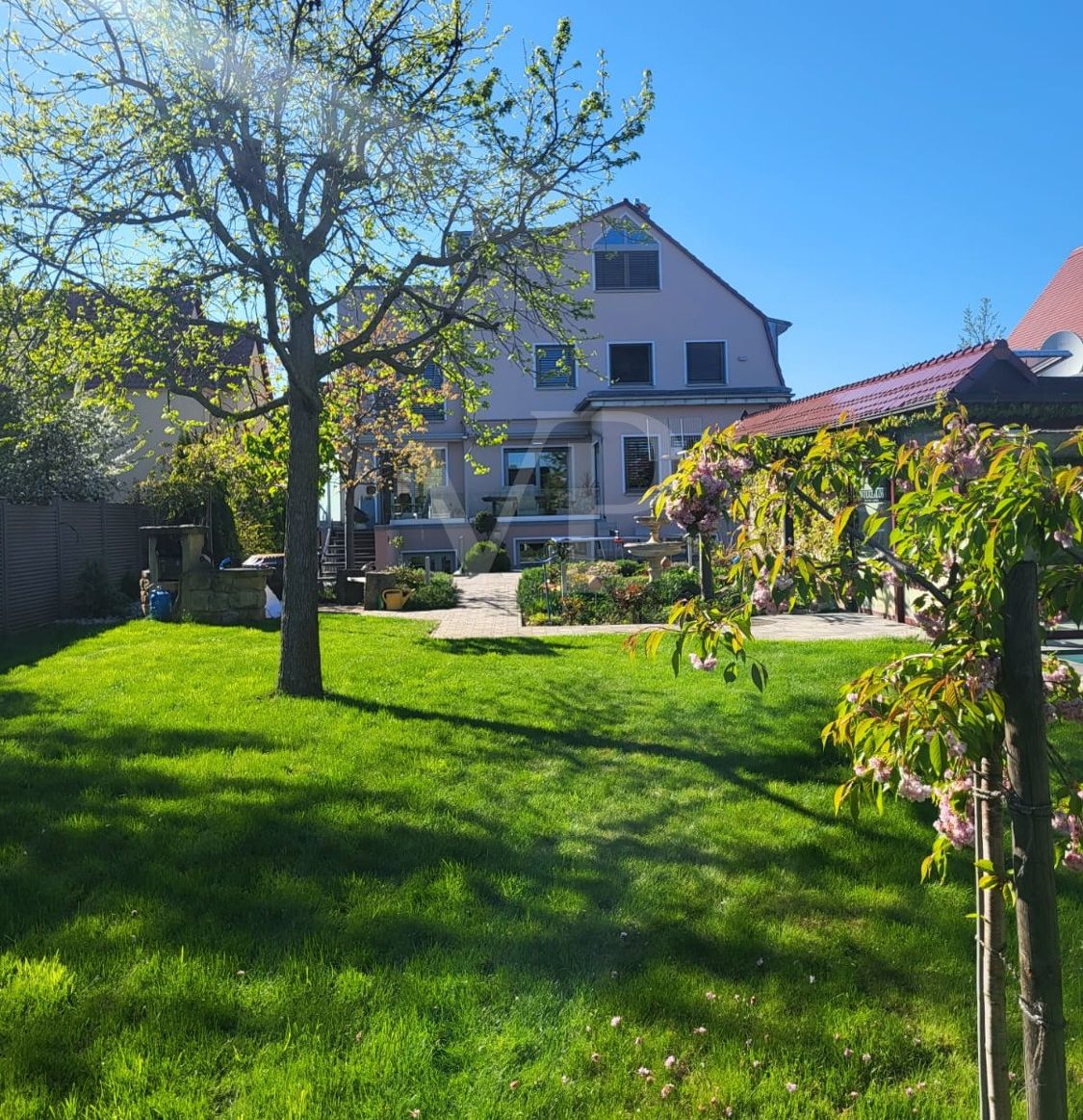Blick in den Garten